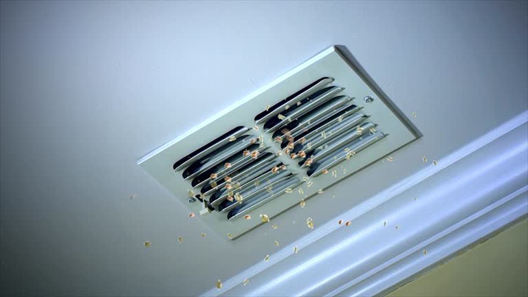Best Affordable HVAC Duct Cleaning  in , NC