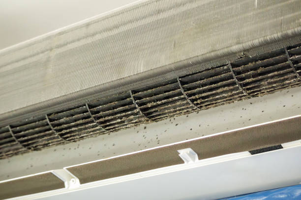 Best HVAC Maintenance and Cleaning  in , NC